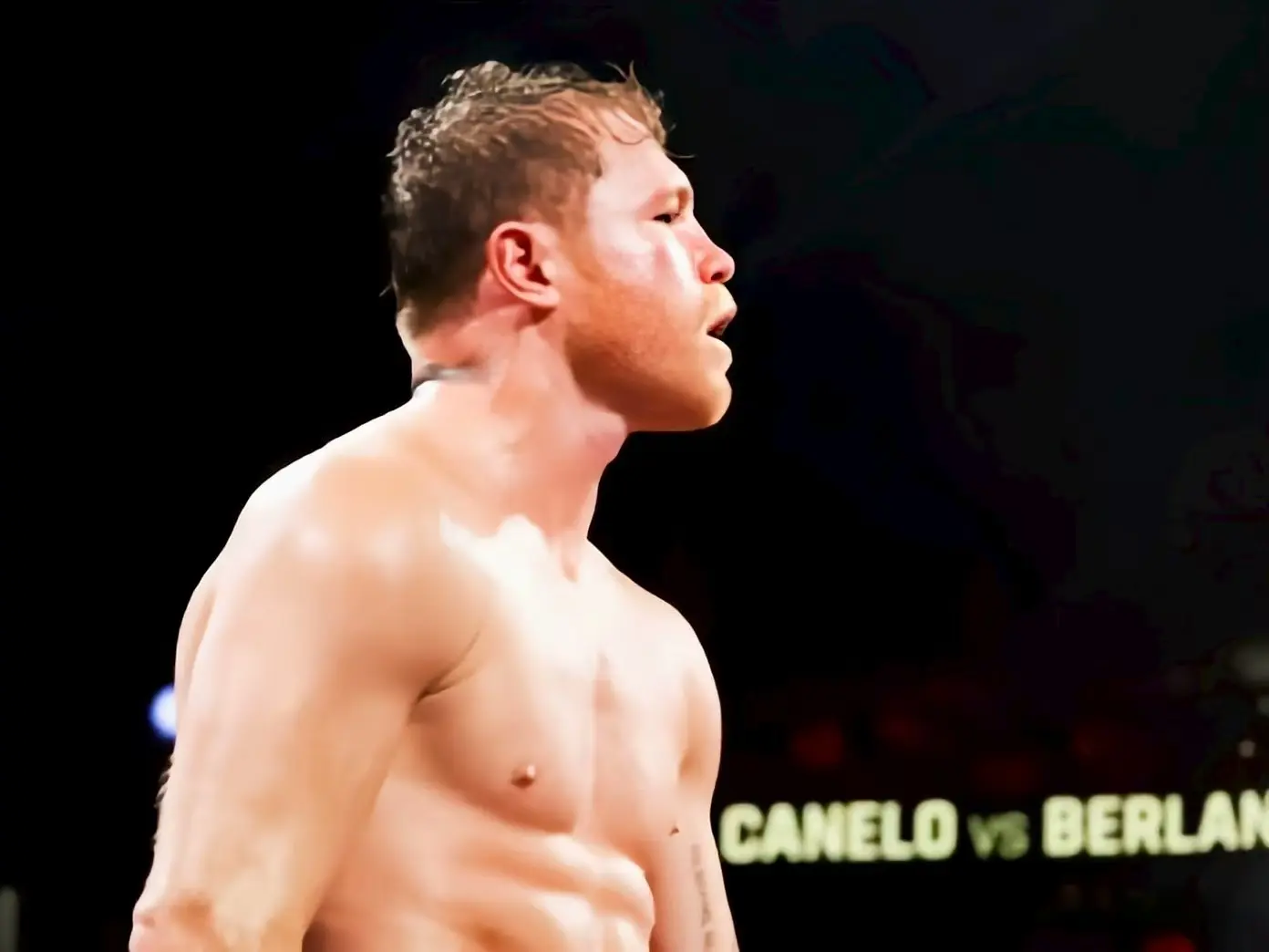 关于墨西哥, 中仅仅, 雷兹交锋吗 关于墨西哥, 中仅仅, 雷兹交锋吗